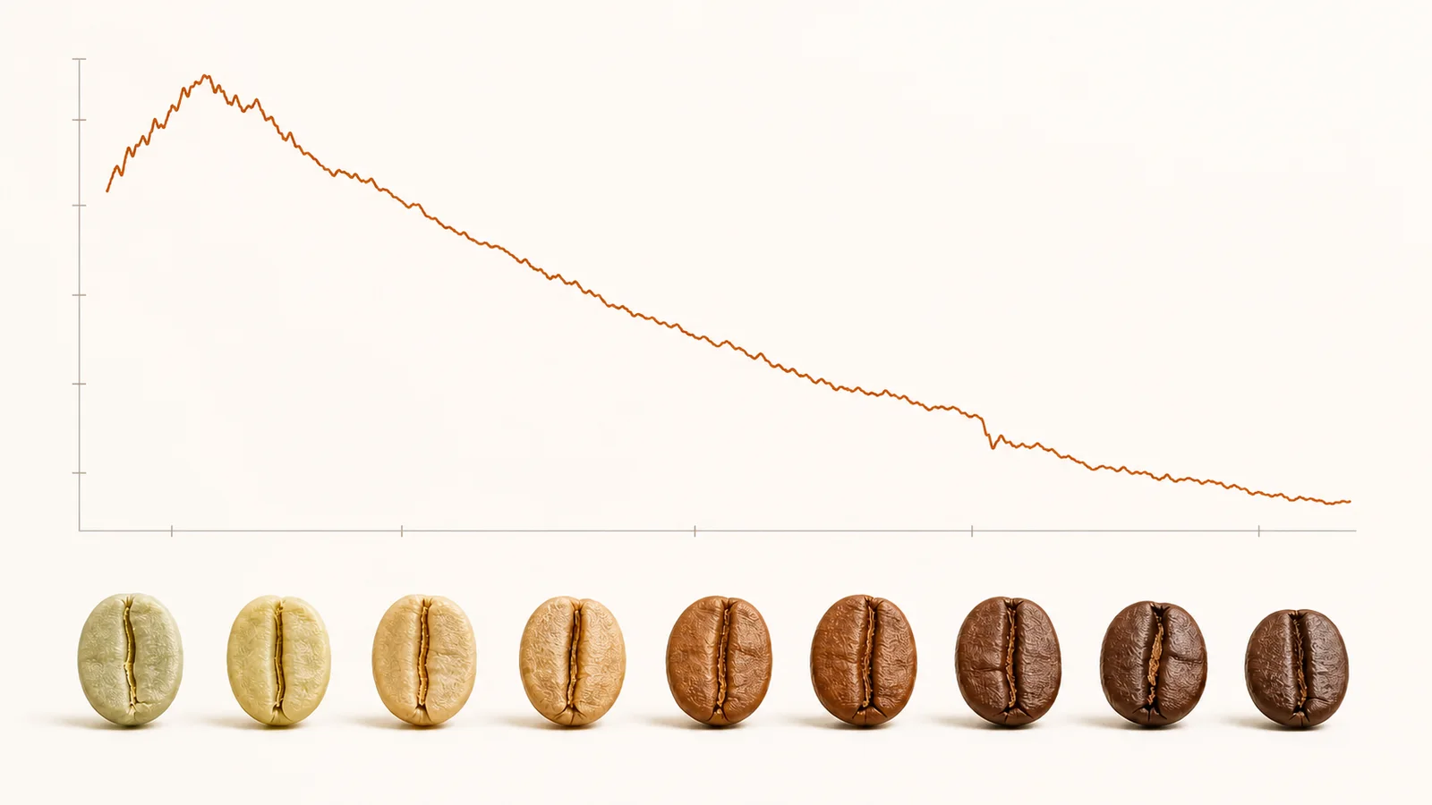 Courbe de RoR atteignant un maximum initial puis diminuant progressivement au-dessus de grains passant du vert au café torréfié.