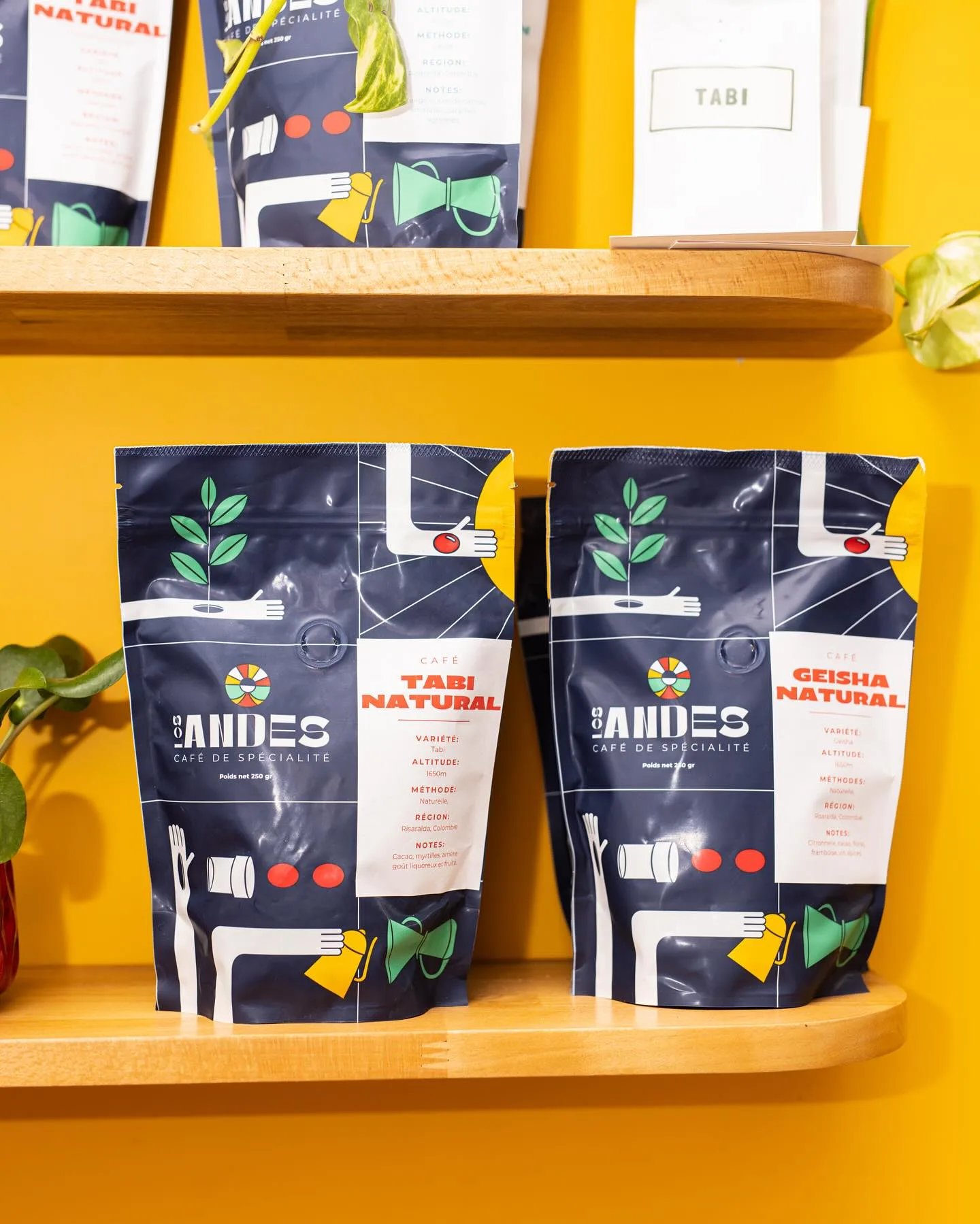 Cafés de spécialité Los Andes Coffee
