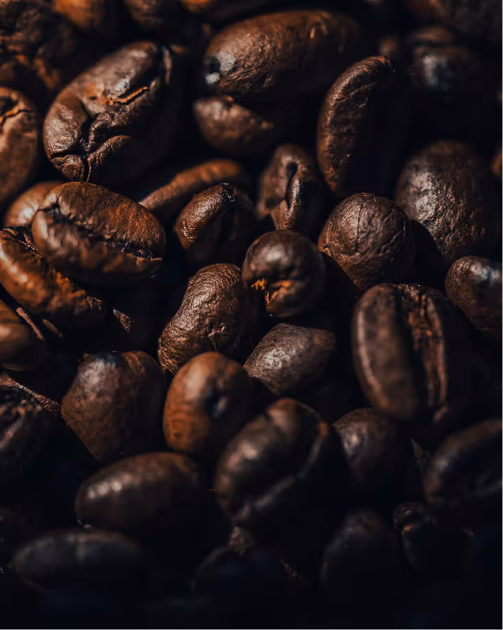 Grains de café torréfiés en gros plan
