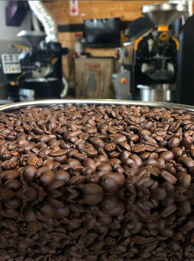 Two Beards Coffee Roastery et son Ghibli R15 en Namibie